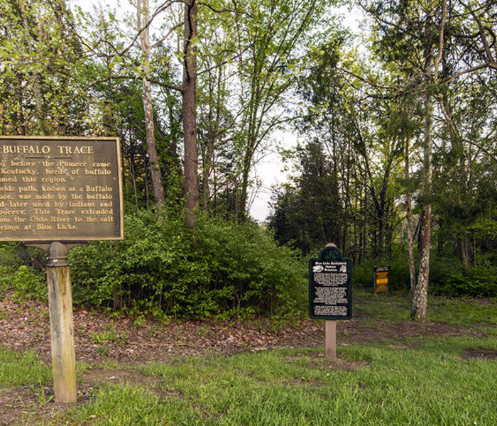 Blue Licks Battlefield State Resort Park - image 6