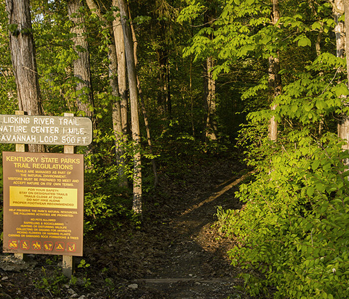 Blue Licks Battlefield State Resort Park - image 8